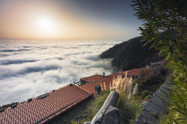 Caligo, maritime fog on the Ligurian coast in front of Località Fossola, Punta Pineda, La Spezia province, Liguria, Italy, Europe