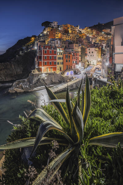 Night on the village of Riomaggiore, Cinque Terre, municipality of Riomaggiore, La Spezia provence, Liguria, Italy, Europe