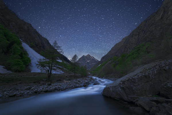 Italy, Piedmont, Cuneo District, Gesso Valley, Alpi Marittime Natural Park, starry night on the Gesso Valley