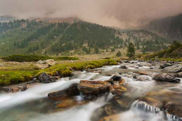 Italy, Piedmont, Cuneo District, Gesso Valley, Alpi Marittime Natural Park, Gesso torrent on a cloudy day