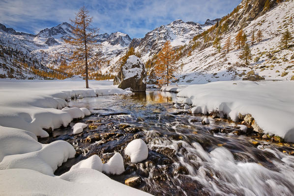 Italy, Piedmont, Cuneo District, Gesso Valley, Alpi Marittime Natural Park, the beginning of winter to the Valasco Plain