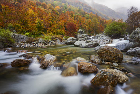 Italy, Piedmont, Cuneo District, Gesso Valley, Alpi Marittime Natural Park, autumnal colors in the Gesso Valley