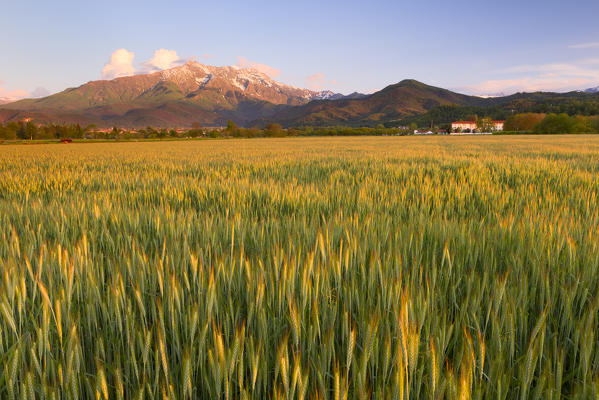 Italy, Piedmont, Cuneo District, spring sunset on the Bisalta peack