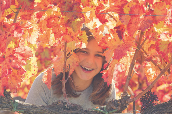 Europe,Italy,Umbria,Perugia district,Montefalco.
Child playing in a vineyard.