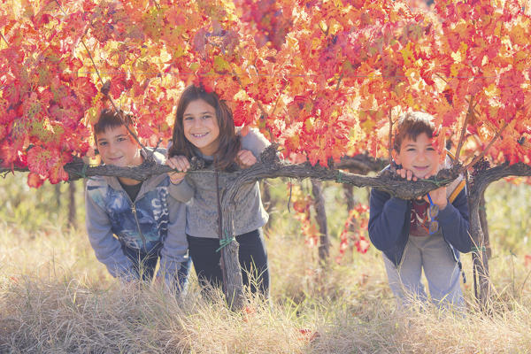 Europe,Italy,Umbria,Perugia district,Montefalco.
Children playing in a vineyard.