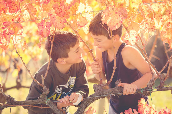 Europe,Italy,Umbria,Perugia district,Montefalco.
Children playing in a vineyard.