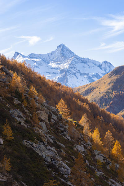 Grivola, Grauson valley, Cogne valley, Valle d'Aosta, Italian Alps, Italy