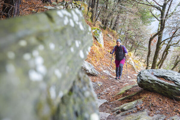 Hiker on an old mule track, Arnad, Valle d Aosta, Italian Alps, Italy