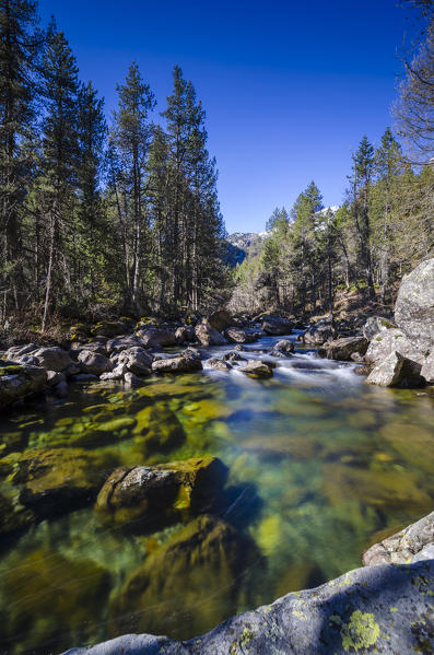 Chalamy river (Val Chalamy, Mont Avic Natura Park, Aosta Valley, Italy)