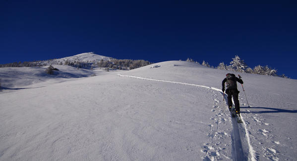 Skier climbing Cima della Rosetta, Valgerola, Valtellina, Italy