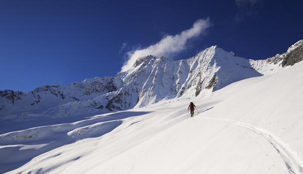 A man skiing uphill on the Disgrazia glacier, Valmalenco, Valtellina, Lombardy, Italy