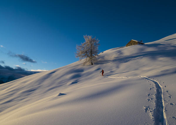 Skier at sunrise in Valgerola, Valtellina, Lombardy, Italy, Alps