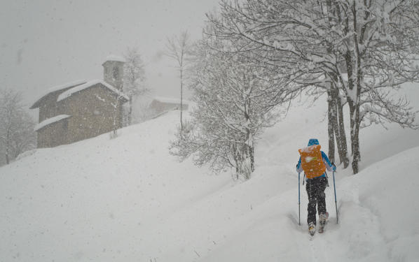 Skier under a heavy snowfall, Case di Sopra, Valgerola, Valtellina, Lombardy, Italy