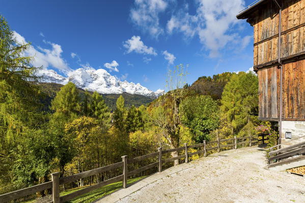 Blue sky on the colorful woods in autumn framed by snowy peaks Val di Zoldo Dolomites Belluno Province Veneto Italy Europe