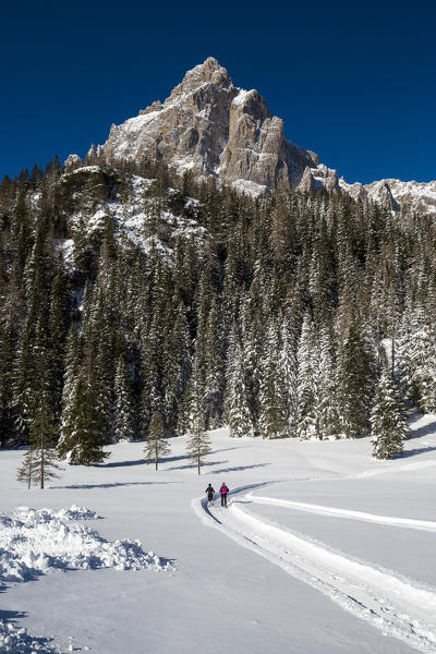 Hikers on snowshoes at Duran Pass, province of Belluno, Veneto, Italy 