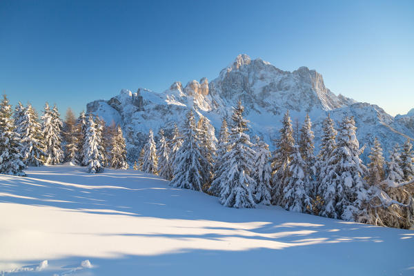 Civetta peak at sunset from Fertazza. Alleghe, Veneto, Italy, Europe.