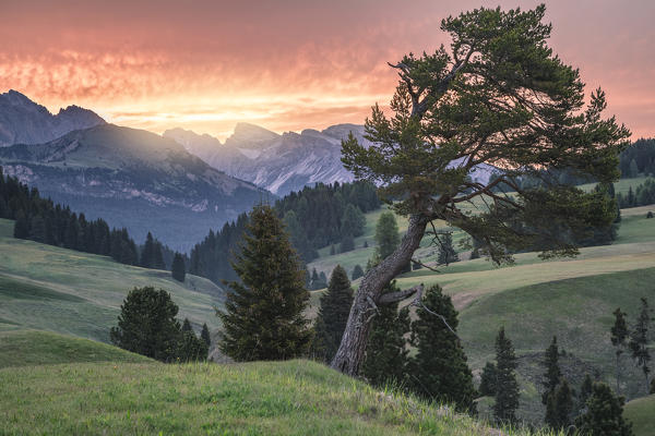 Sunrise with a red sky at Alpe di Siusi (Seiser Alm), Castelrotto (Kastelruth), Dolomites, South Tyrol, Italy