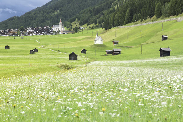 Obertilliach, Tiroler Gailtal, East Tyrol, Tyrol, Austria