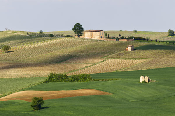 Monferrato, Asti district, Piedmont, Italy. Landscapes of the Monferrato wine region