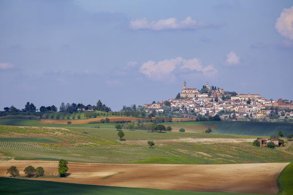 Monferrato, Asti district, Piedmont, Italy. Landscapes of the Monferrato wine region,on the Vignale Monferrato village background