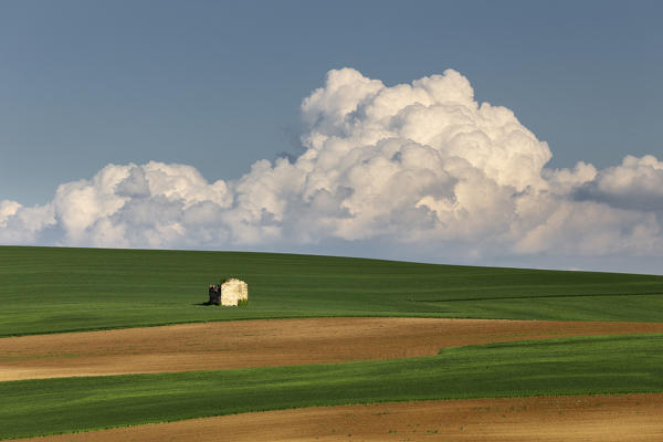 Monferrato, Asti district, Piedmont, Italy. Landscapes of the Monferrato wine region