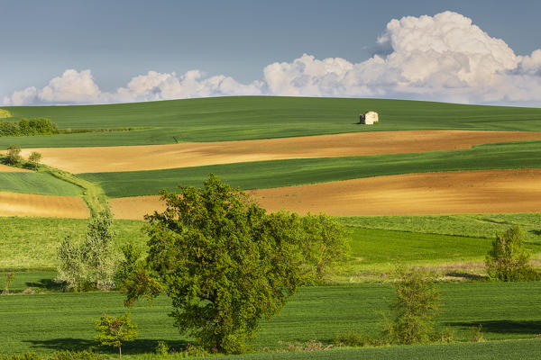 Monferrato, Asti district, Piedmont, Italy. Landscapes of the Monferrato wine region