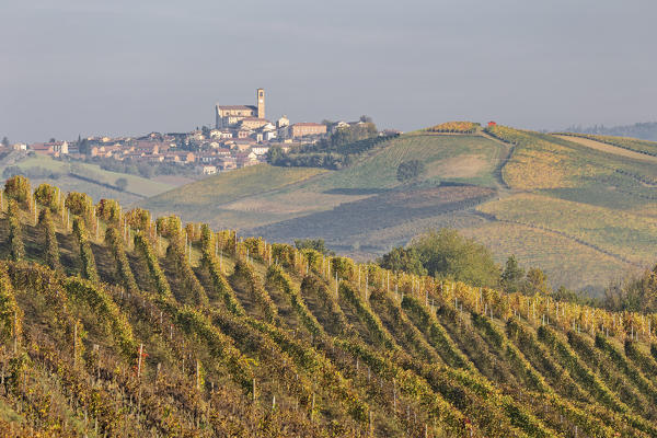 Monferrato, Asti district, Piedmont, Italy. Autumn in the Monferrato wine region, Grana village
