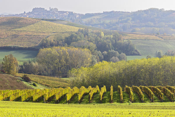 Monferrato, Asti district, Piedmont, Italy. Autumn in the Monferrato wine region, Montemagno castle
