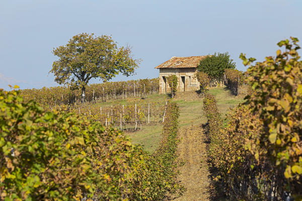 Monferrato, Asti district, Piedmont, Italy. Autumn in the Monferrato wine region,ancient small farmhouse
