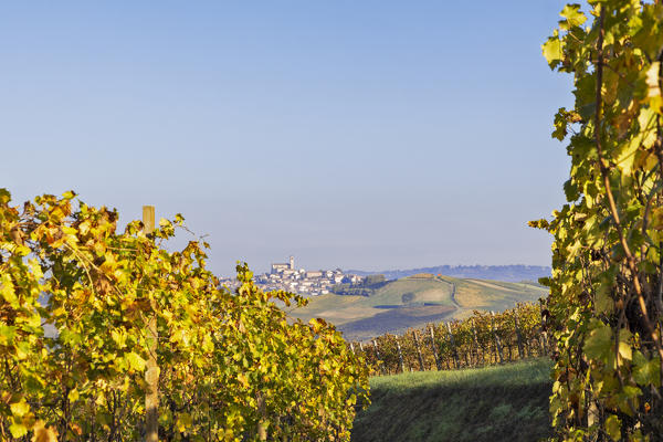 Monferrato, Asti district, Piedmont, Italy. Autumn in the Monferrato wine region, Grana village

