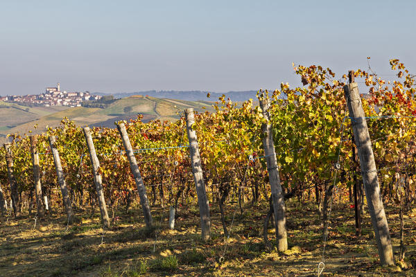 Monferrato, Asti district, Piedmont, Italy. Autumn in the Monferrato wine region, Grana village

