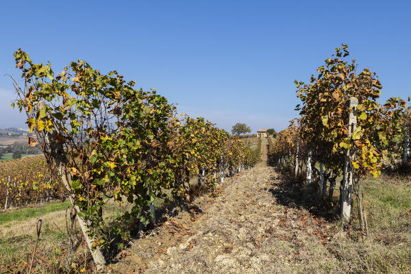 Monferrato, Asti district, Piedmont, Italy. Autumn in the Monferrato wine region,ancient small farmhouse
