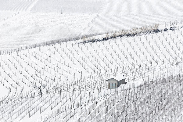 Langhe, Cuneo district, Piedmont, Italy. Langhe wine region winter snow