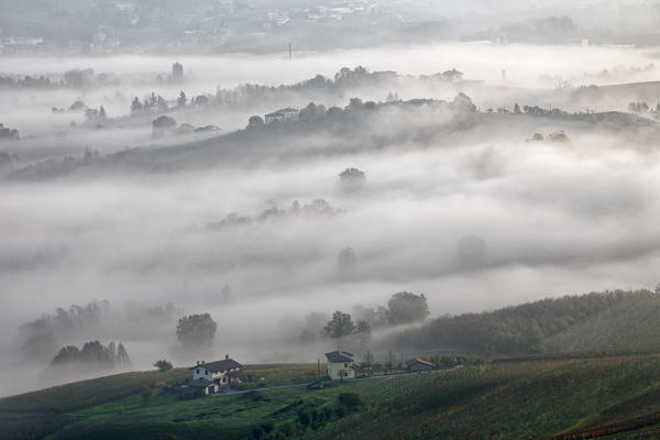 Langhe, Cuneo district, Piedmont, Italy. Autumn in the Langhe wine region 