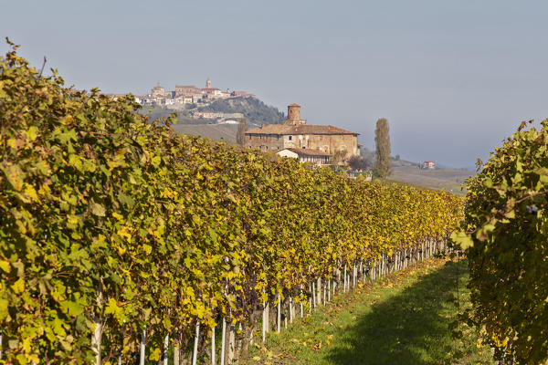 Langhe, Cuneo district, Piedmont, Italy. Autumn in the Langhe wine region, Della Volta castle on background La Morra village