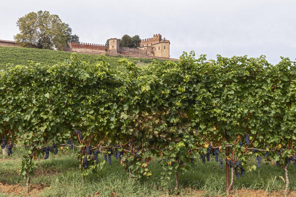 Monferrato, Asti district, Piedmont, Italy. Landscapes of the Monferrato, Montemagno Castle