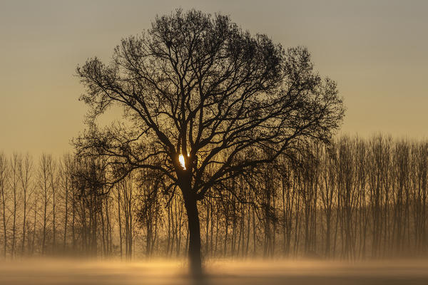 Turin province, Piedmont,Italy, Europe. Magic sunrise in the Piedmont plain