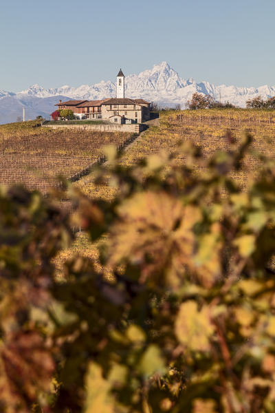 Langhe, Cuneo district, Piedmont, Italy, Europe. Barolo wine region
