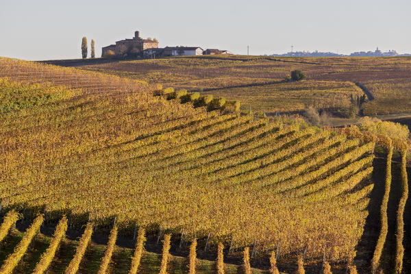 Langhe, Cuneo district, Piedmont, Italy, Europe. Barolo wine region
