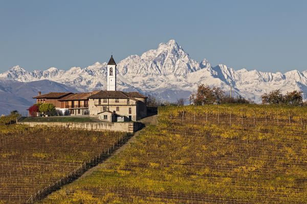 Langhe, Cuneo district, Piedmont, Italy, Europe. Barolo wine region
