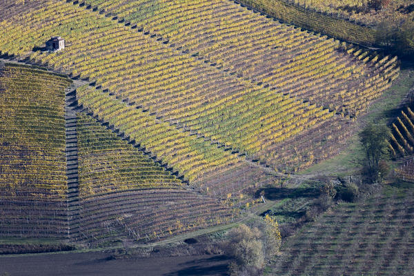 Langhe, Cuneo district, Piedmont, Italy, Europe. Barolo wine region
