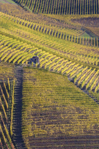 Langhe, Cuneo district, Piedmont, Italy, Europe. Barolo wine region
