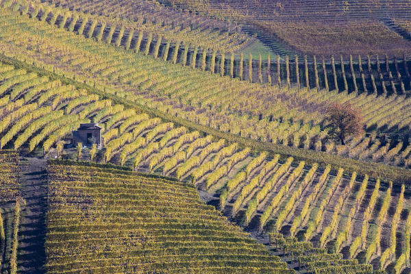 Langhe, Cuneo district, Piedmont, Italy, Europe. Barolo wine region
