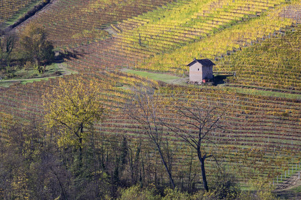 Langhe, Cuneo district, Piedmont, Italy, Europe. Barolo wine region
