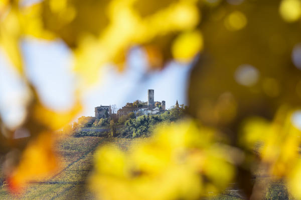 Langhe, Cuneo district, Piedmont, Italy, Europe. Barolo wine region, Castiglione Falletto castle
