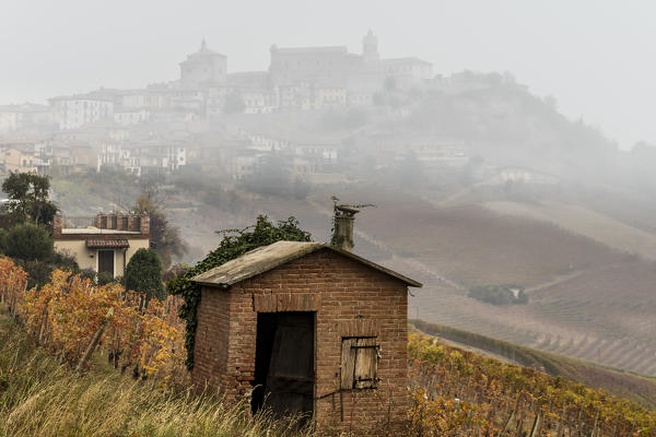 Langhe, Cuneo district, Piedmont, Italy. Barolo wine region, La Morra village