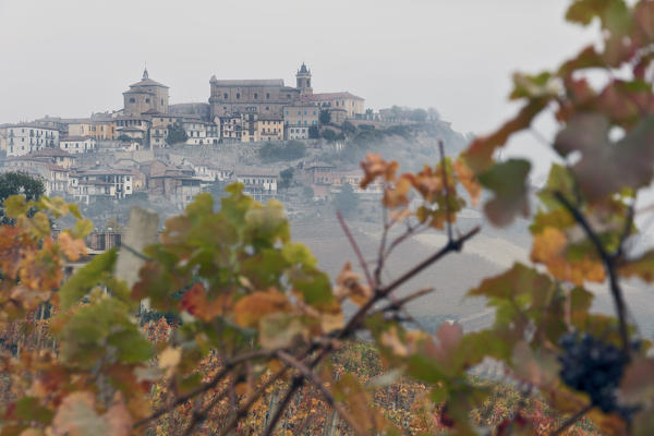 Langhe, Cuneo district, Piedmont, Italy. Barolo wine region, La Morra village