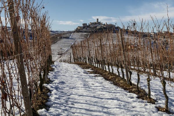 Langhe, Cuneo district, Piedmont, Italy. Barolo wine region,Castiglione Falletto castle