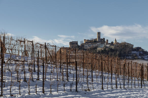 Langhe, Cuneo district, Piedmont, Italy. Barolo wine region,Castiglione Falletto castle