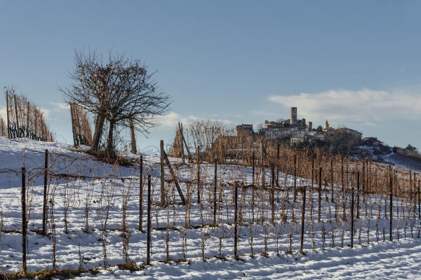 Langhe, Cuneo district, Piedmont, Italy. Barolo wine region,Castiglione Falletto castle